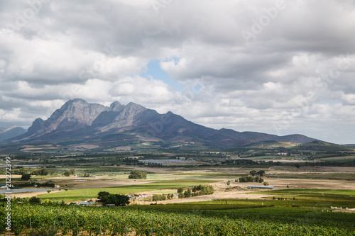 Cape Wine lands South Africa