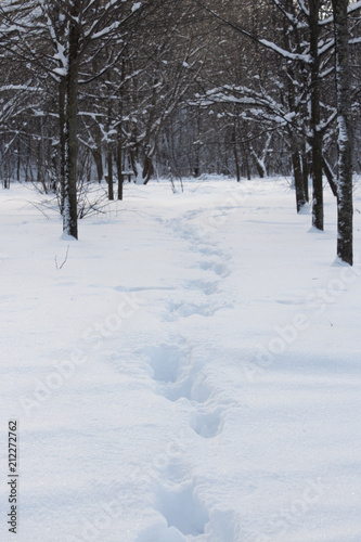 Human footprints in the snow-covered forest © Delennyk