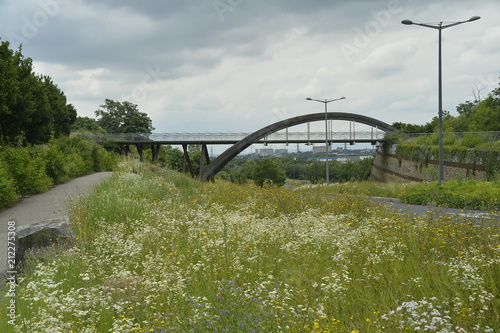 pont, chemin et fleurs en juin 2018