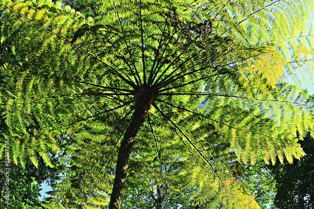 Obraz premium Sao Paulo - Brasil