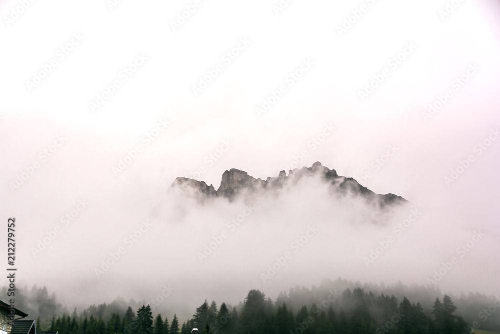 Rosengarten im Nebel Südtirol