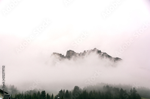 Rosengarten im Nebel Südtirol