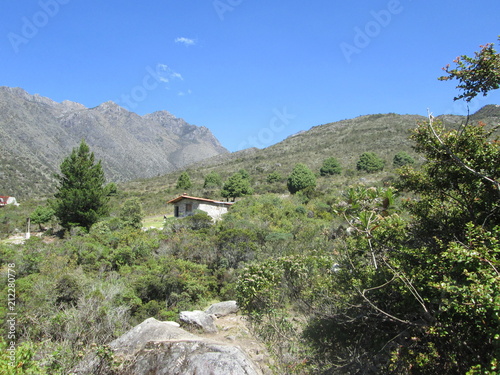 Vista panoramica del paramo la culata Venezuela