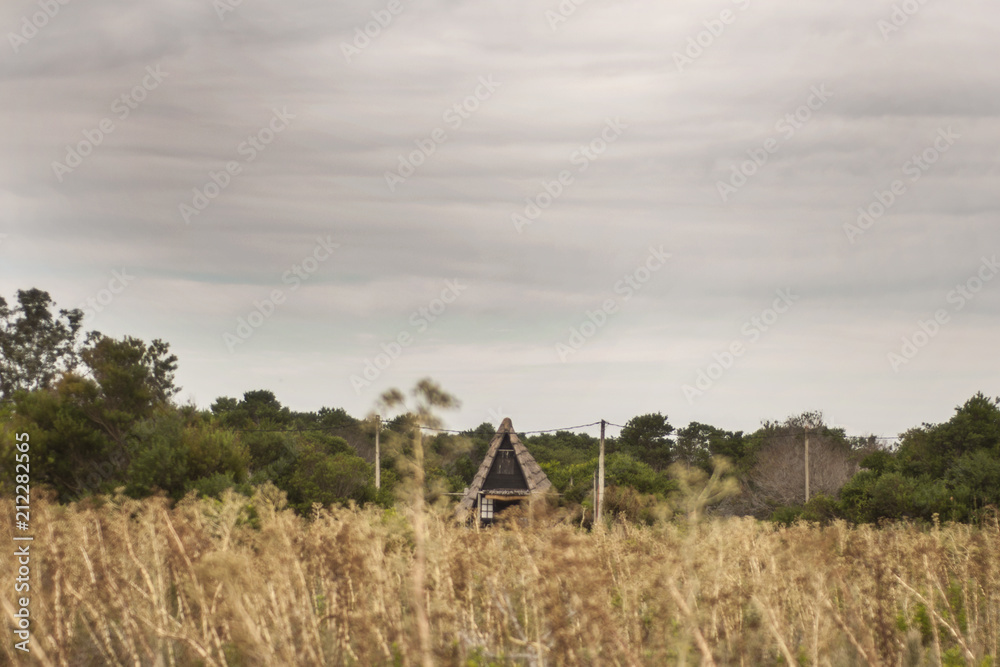 Fototapeta premium landscape
