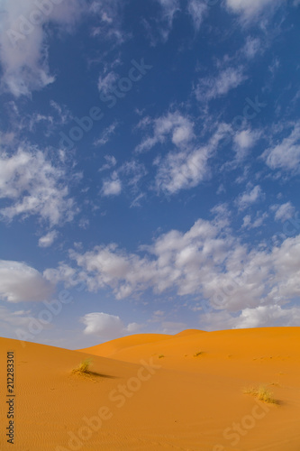 Sand Dunes in the Sahara Desert in Morocco