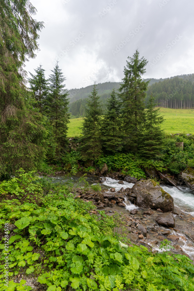 Fototapeta premium Kleiner Bach im Wald