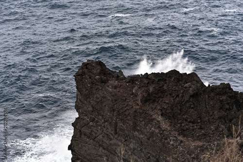 Azoren - Sao Miguel - Nordwestküste bei Capelas photo