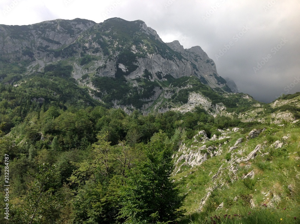 Mount Durmitor national park, Žabljak town in Montenegro