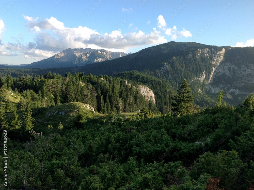 Mount Durmitor national park, Žabljak town in Montenegro