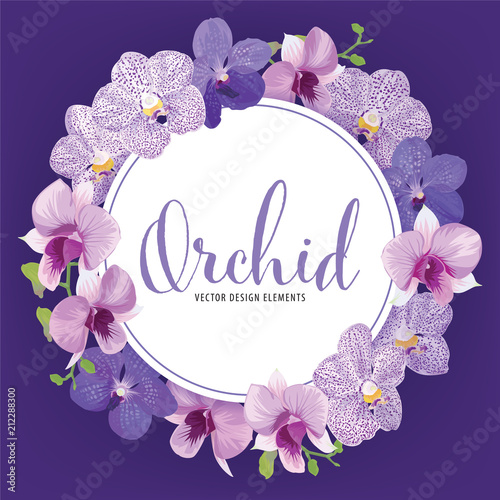 Floral frame with tropical orchid flowers on purple background template. Vector set of blooming floral for holiday invitations, greeting card and fashion design.