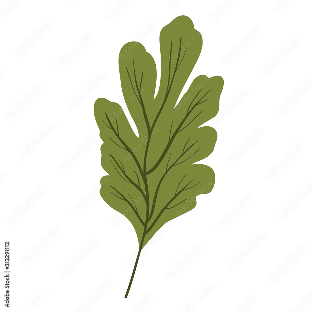 leaf plant ecology icon vector illustration design leaf plant ecology icon vector illustration design