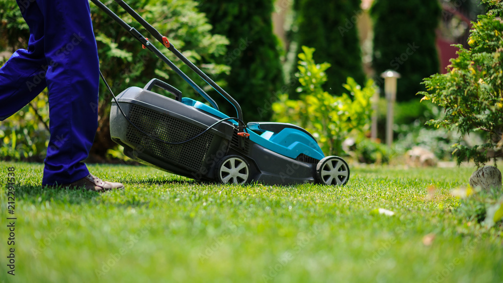 The grass mower in actione - obrazy, fototapety, plakaty 