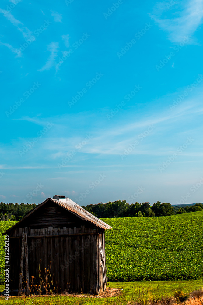 Obraz premium barn and blue sky