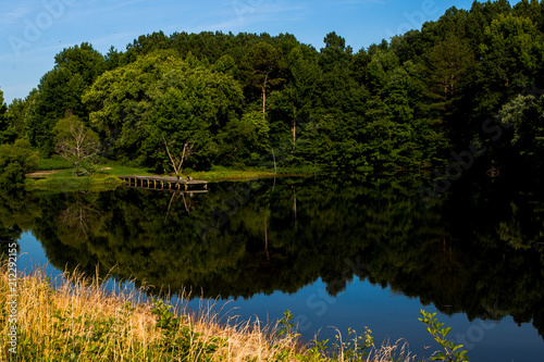 the secret pond