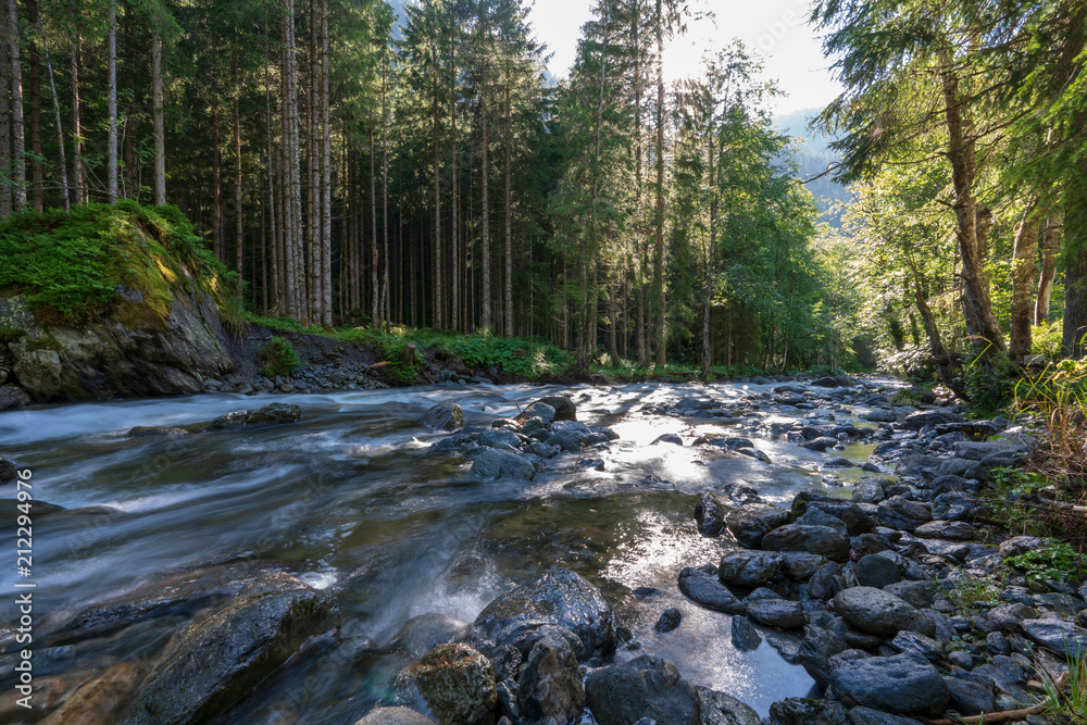Kleiner kalter Gebirgsbach der sich durch den regennassen dichten Wald schlängelt Kleiner kalter Gebirgsbach der sich durch den regennassen dichten Wald schlängelt
