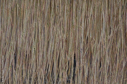 Brown Bulrush Wall. With Special Effect.