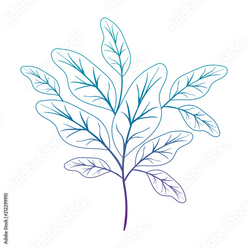 branch with leafs ecology icon vector illustration design © grgroup