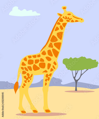 Giraffe im the savannah.
