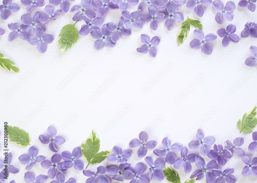 lilac flowers and leaves on a white background