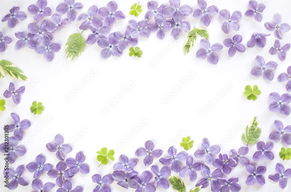 lilac flowers and leaves on a white background lilac flowers and leaves on a white background