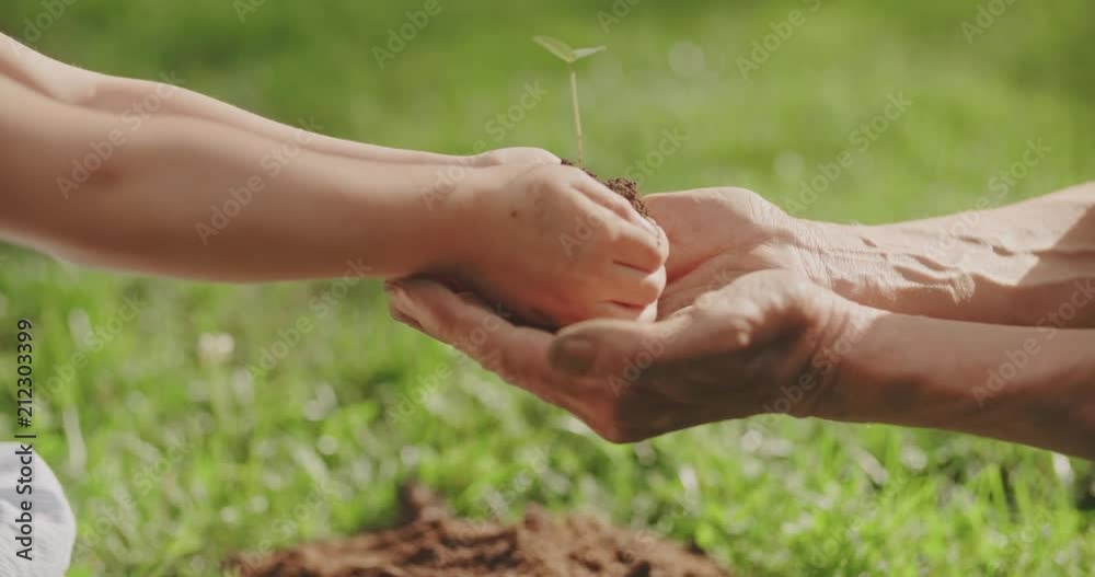little girl giving small sprout to old man. generations helping each other. tradition, ecology, farming concept 4k
