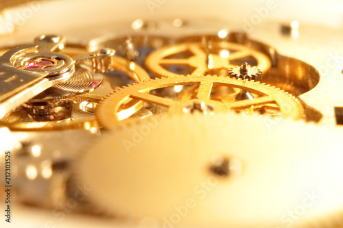 Quadro em tela gold watch mechanism