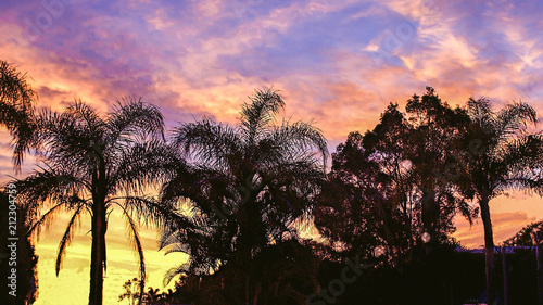 Vivid Tropical Sunrise . Australia