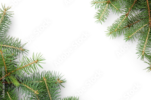 Branches of Christmas tree on white background