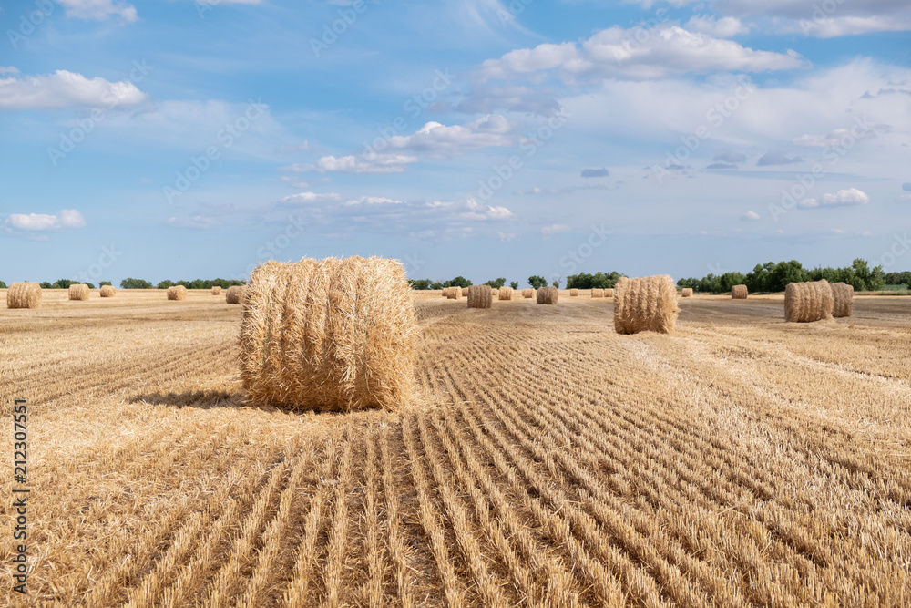 A stack of hay on the summer field. Agricultural landscape at the summer time during harvesting