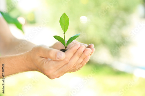 Man holding soil with green plant in hands on blurred background