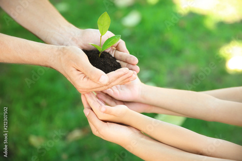 Man passing soil with green plant to his family on blurred background