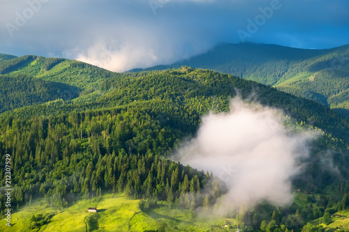 Mountain valley in the mist. Beautiful natural landscape at the summer time during sunrise