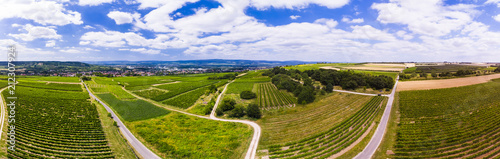 Luftbild über Weinberge auf Ingelheim am Rhein, Rheinland-Pfalz, Deutschland