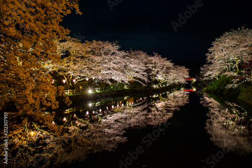 夜桜
