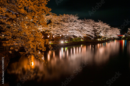 夜桜
