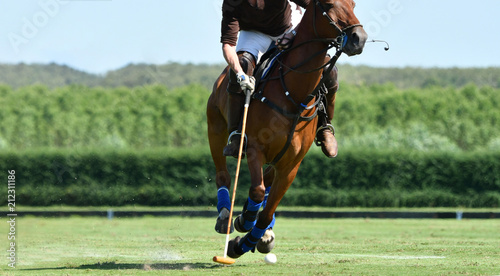 polo player use a mallet hit ball in tournament.