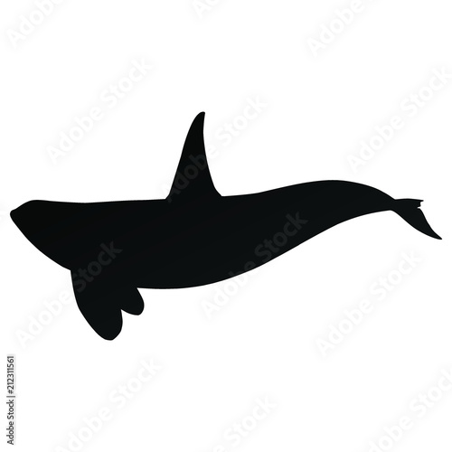A black and white silhouette of a killer whale