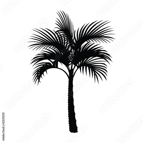 A black and white silhouette of a palm tree
