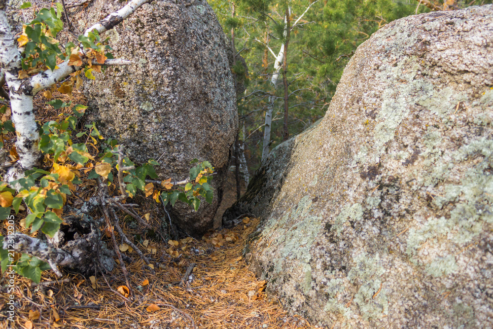 Borovoe, Burabay, spruce, mountains, rocks Borovoe, Burabay, spruce, mountains, rocks