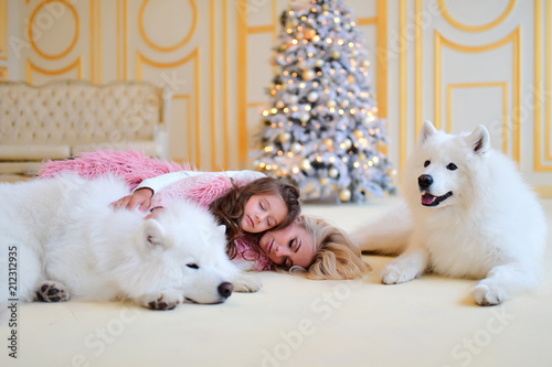 Mom and daughter play with Samoyed dogs before a Christmas tree © IVASHstudio