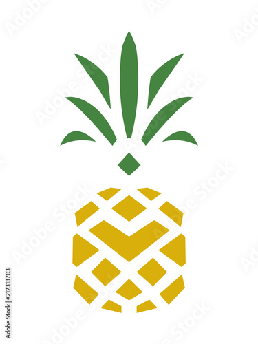Beautiful Pineapple Shape