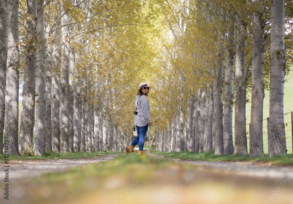 A traveller woman walks in the middle walk way of green pine Forrest in summer in New Zealand. A traveller woman walks in the middle walk way of green pine Forrest in summer in New Zealand.