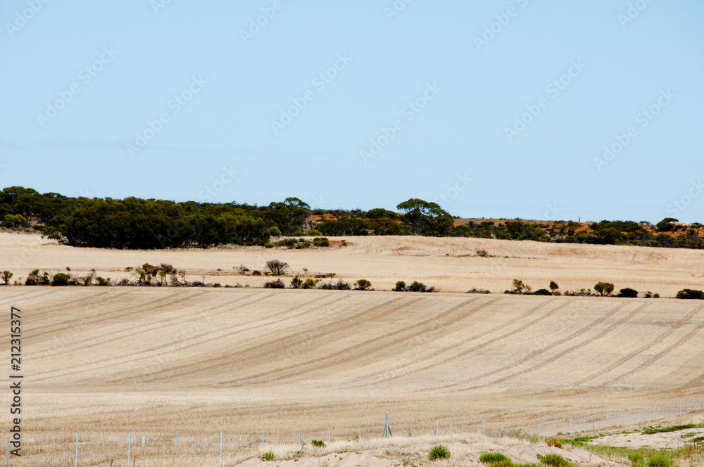 Obraz premium Harvested Wheat Fields - Australia