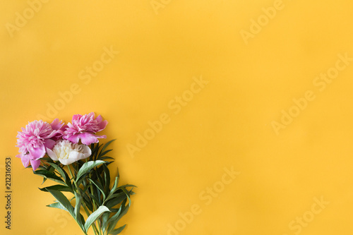 Sunny summer background with pink and white peony flowers and copy space for ...