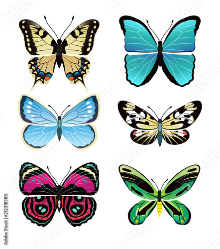 Butterflies Types Collection Vector Illustration © robu_s
