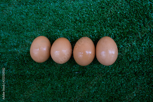 Egg on the green grass