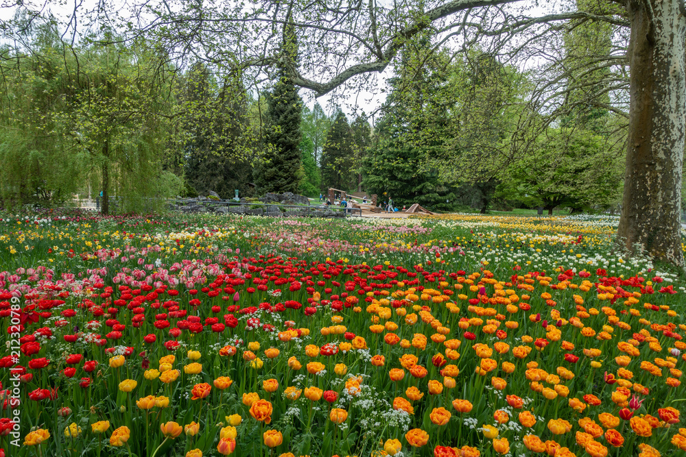 Insel Mainau - Blumen, Schmetterlinge Insel Mainau - Blumen, Schmetterlinge