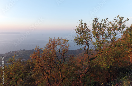 Massif de la colle noire sur la côte varoise