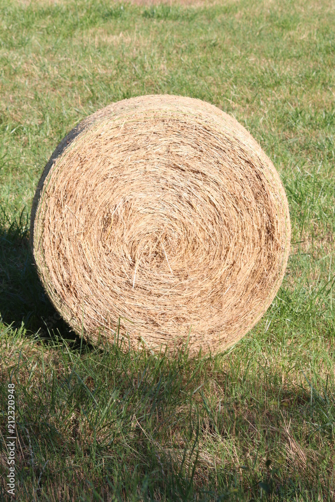 Botte de Paille Botte de Paille
