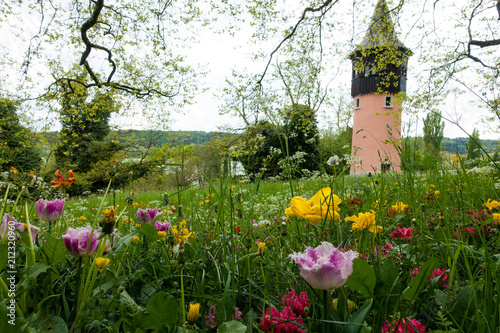 Insel Mainau - Blumen, Schmetterlinge